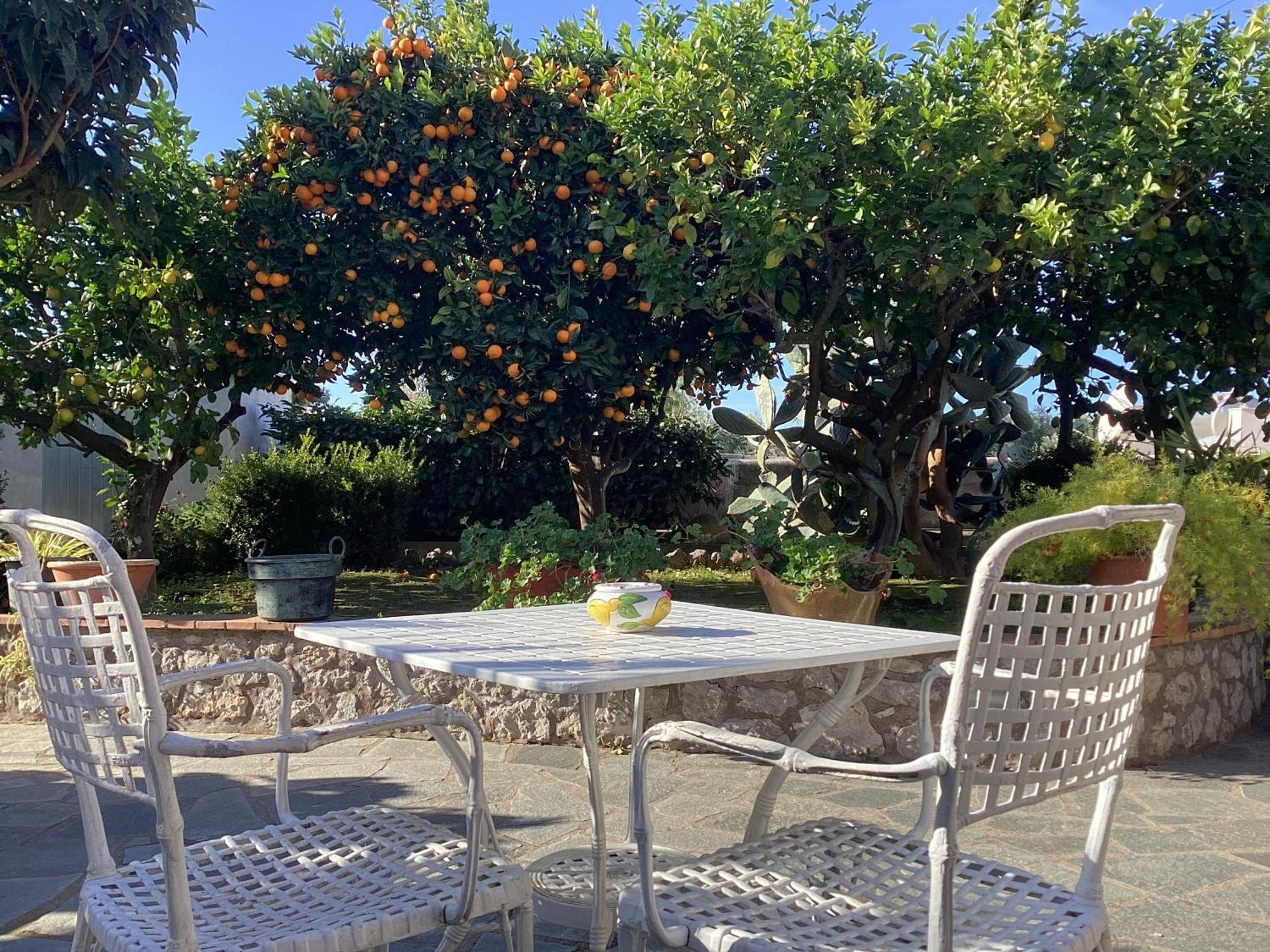 B&B Casetta Minghitto Anacapri  Exterior foto